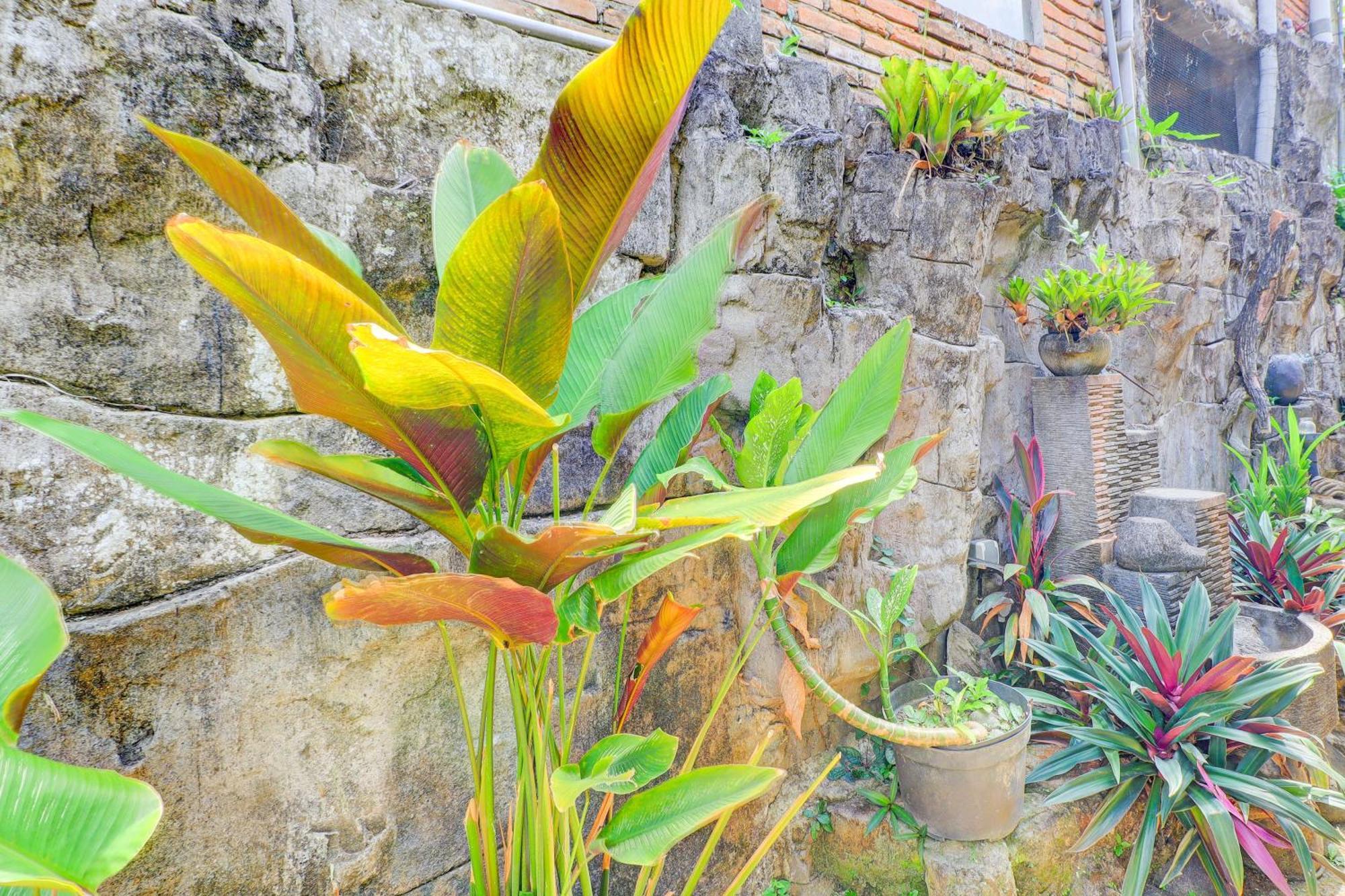 Hotel O Ubud Asri Homestay Near Monkey Forest Exteriör bild
